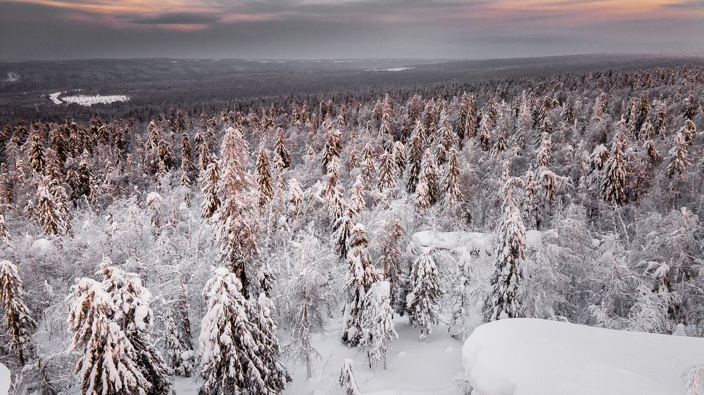 Photograph by Валерий Кучинский