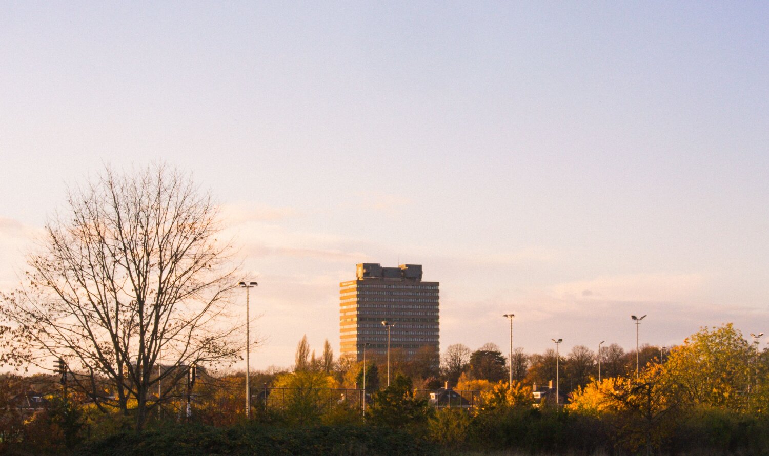 Photo #7263479