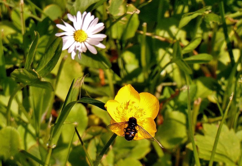 Photograph by backareva irina