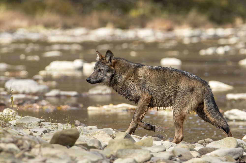 Photograph by Adrian Czech