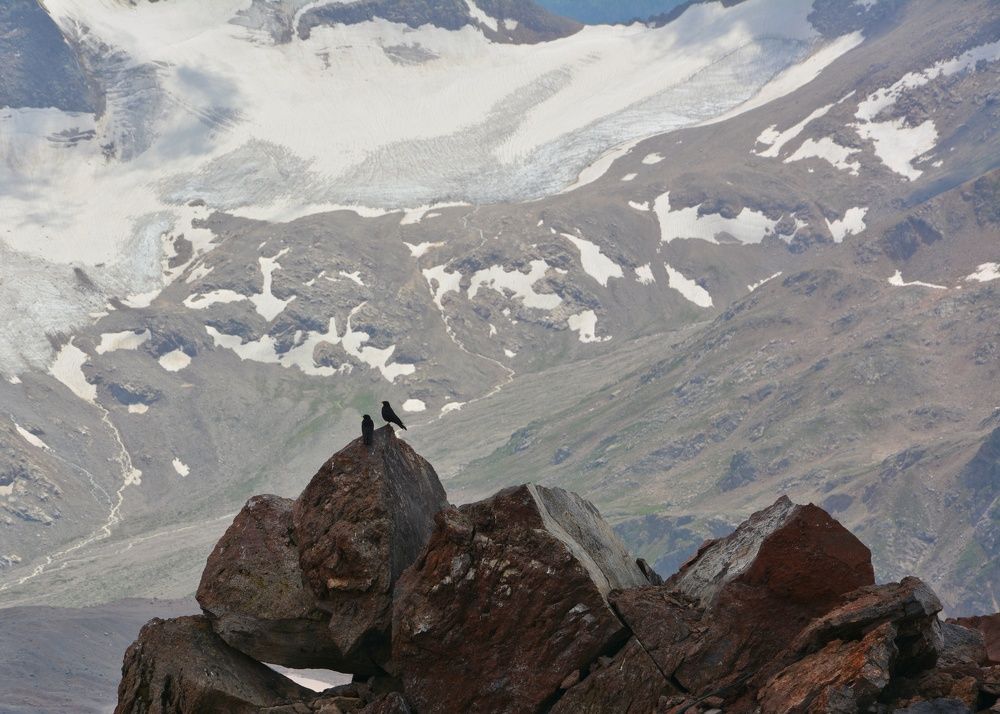 Photograph by Елена Акимова