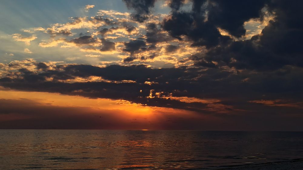 Photograph by Kate Hondochka