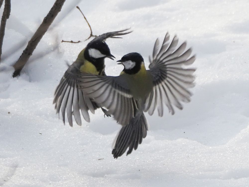 Photograph by Сергей Духанин