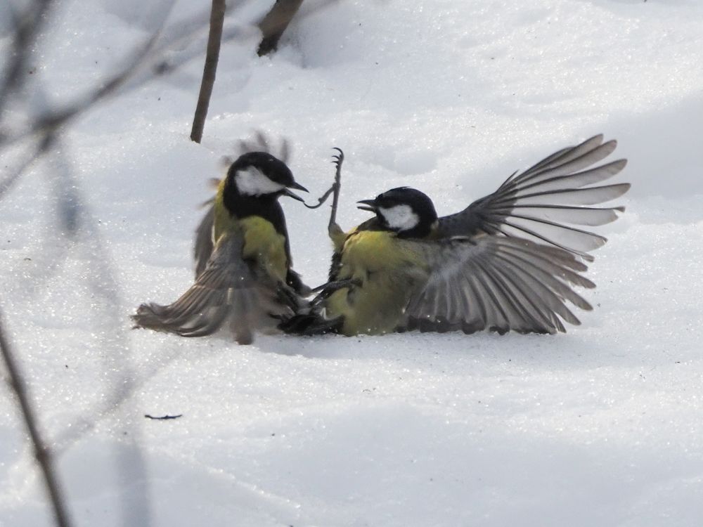 Photograph by Сергей Духанин