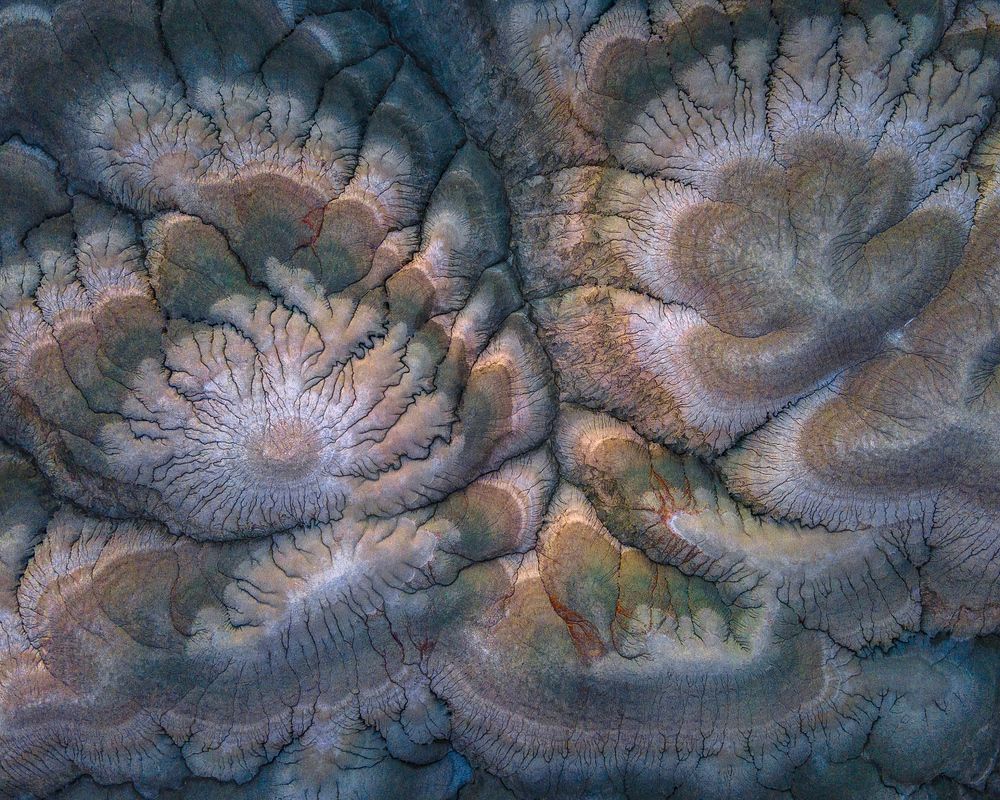 Photograph by Kani (kanipolat.com) Polat