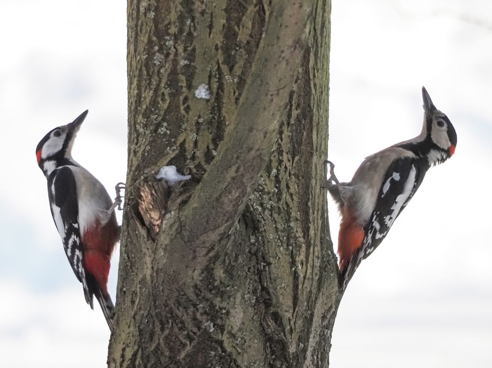 Photograph by Сергей Духанин