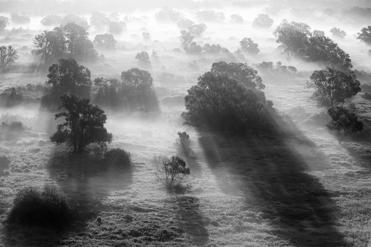 Фотография #7263762