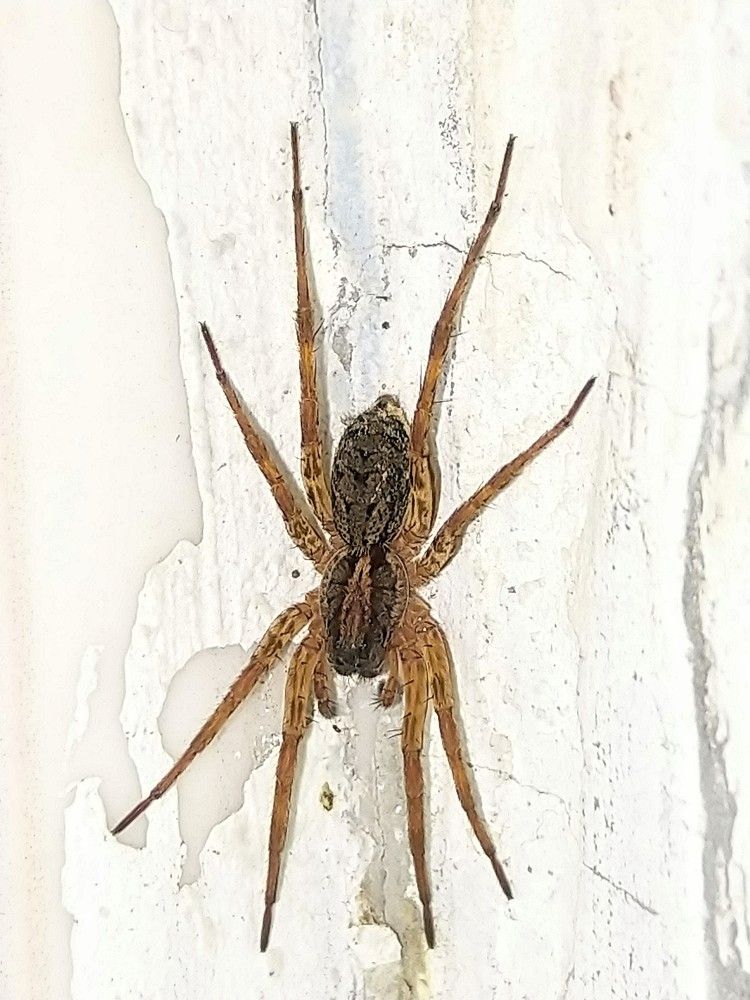 Photograph by sumit sitole