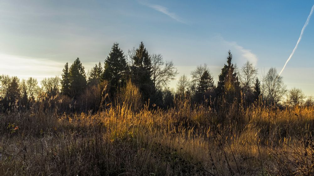 Фотография автора Александр Стоялов