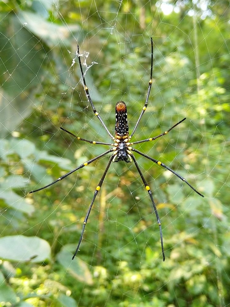 Photograph by sumit sitole