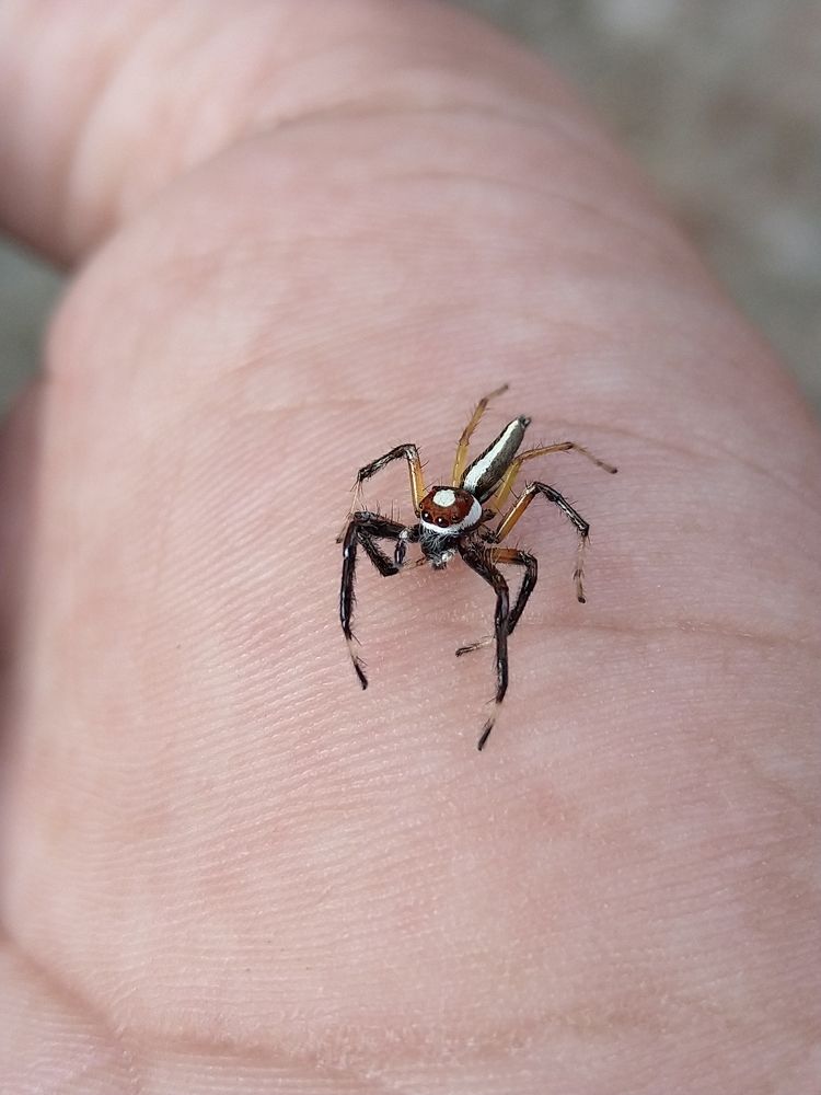 Photograph by sumit sitole