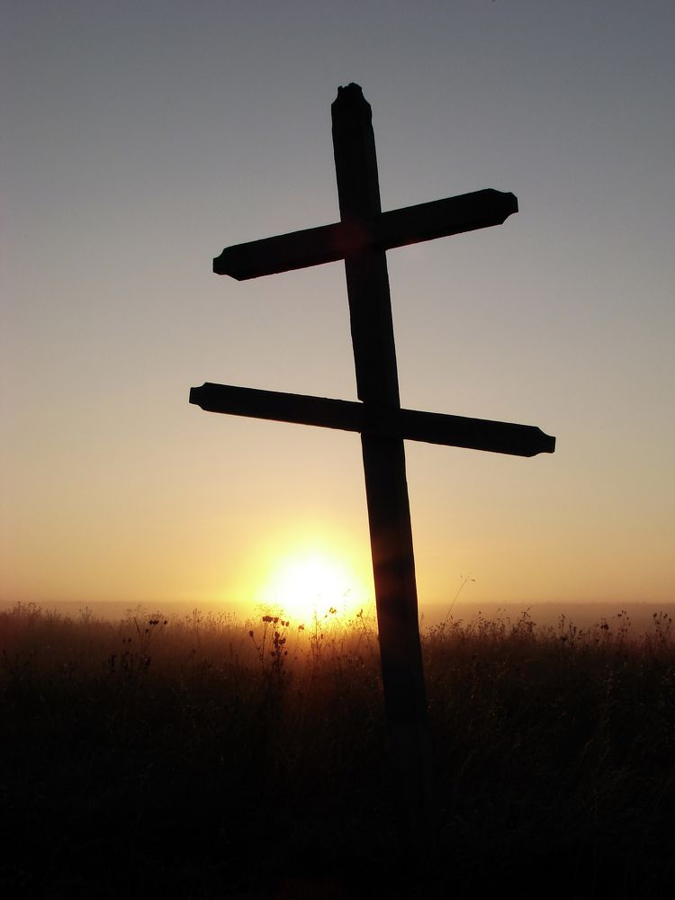 Photograph by Владимир Желтов