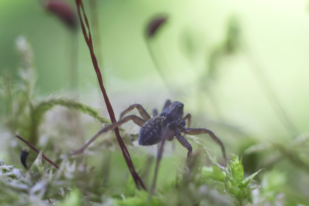 Photograph by Екатерина Мезенова