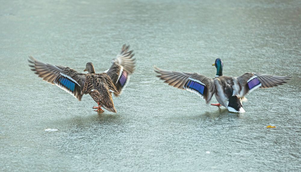 Photograph by Марат Рысбеков
