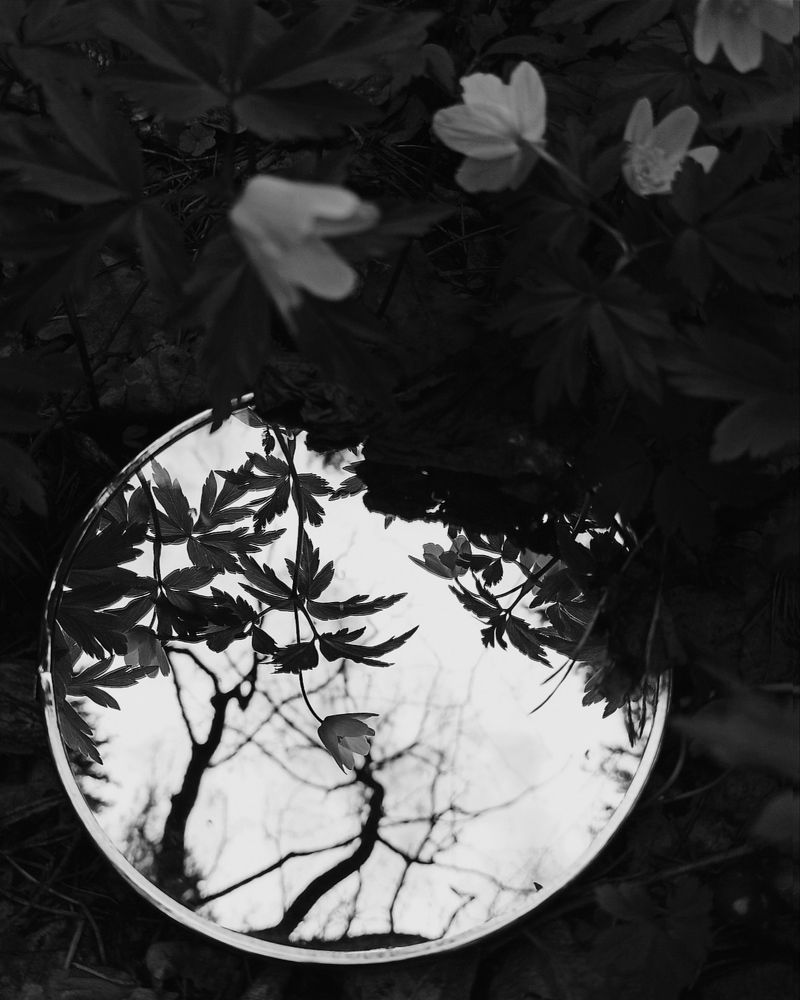 Photograph by Галина Мицевич