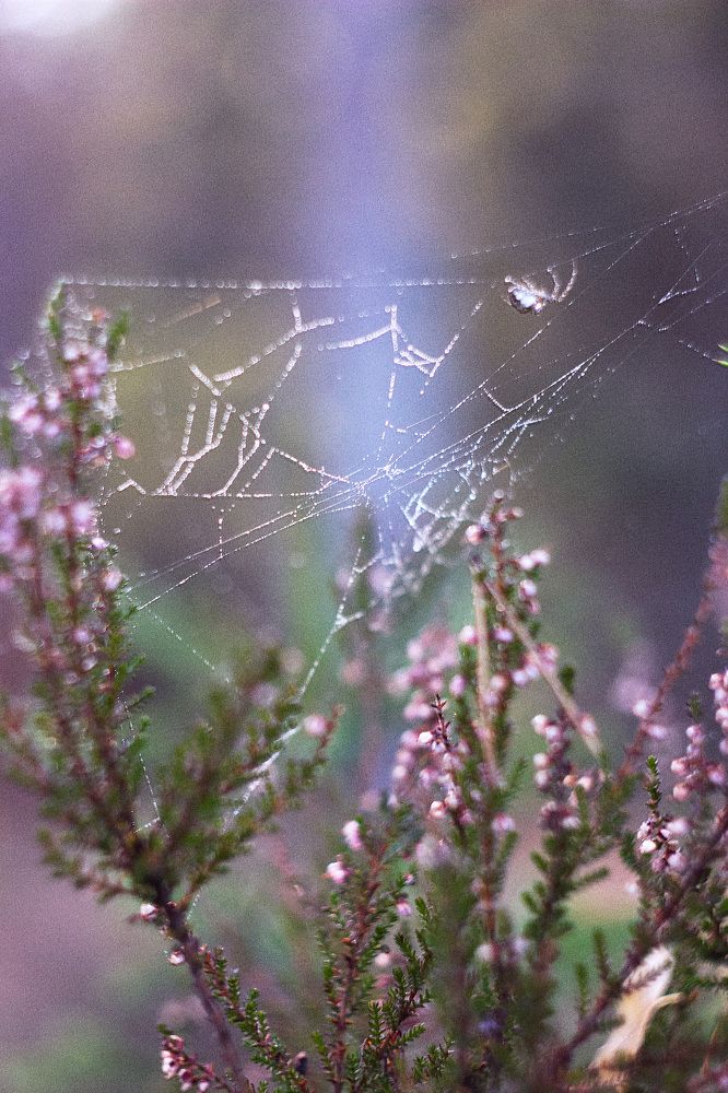 Photograph by Екатерина Мезенова