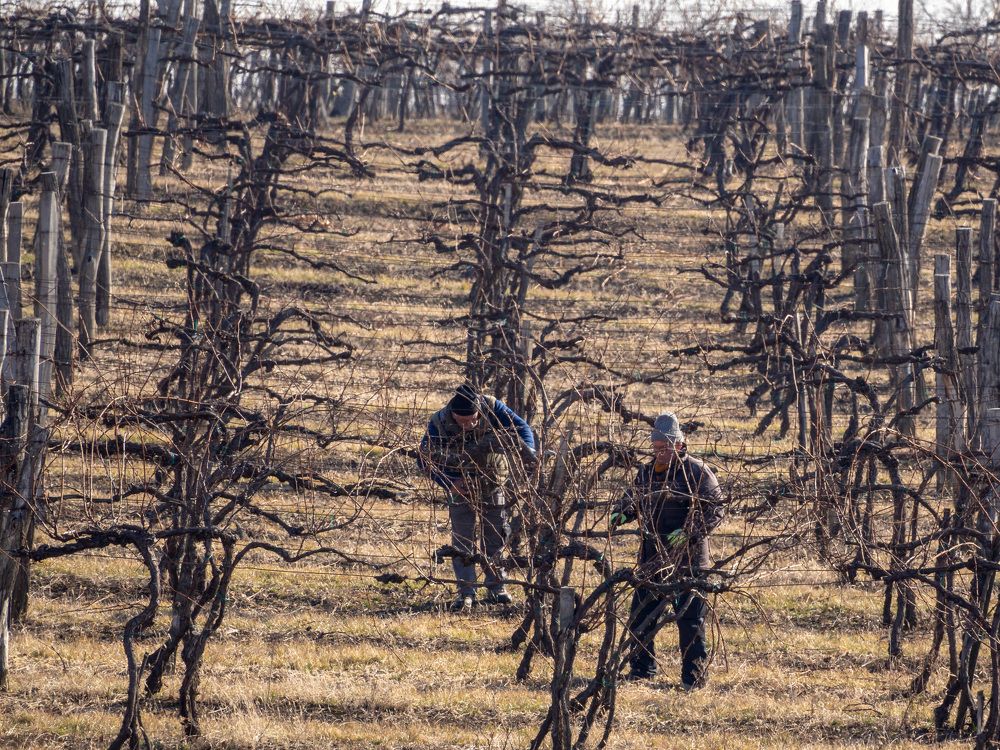 Фотография автора Denes Doma