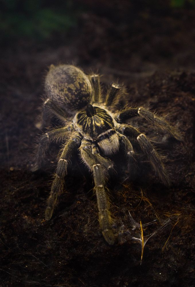 Photograph by Алена Менщикова