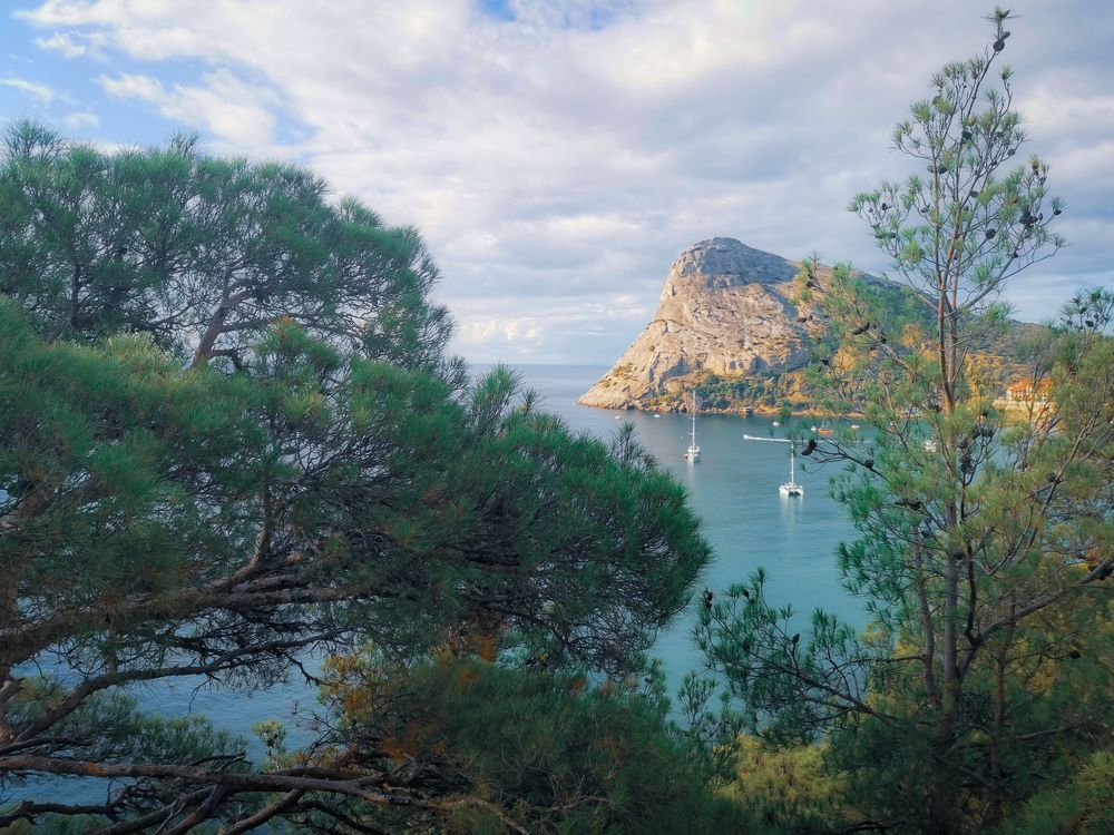 Фотография автора OXANA MARSOVA