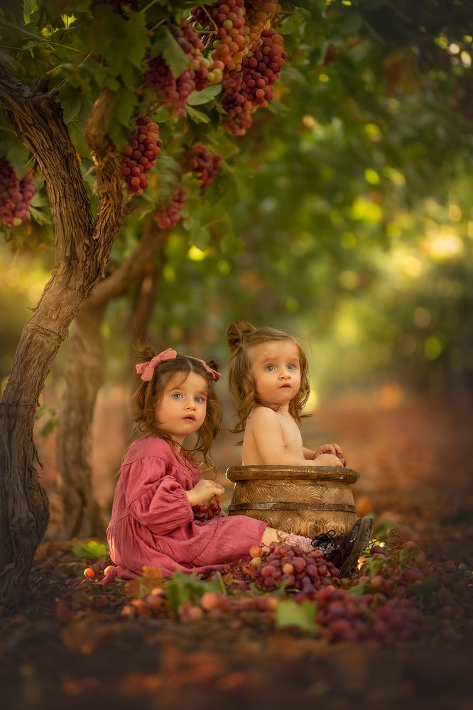 Photograph by yarden kaplan