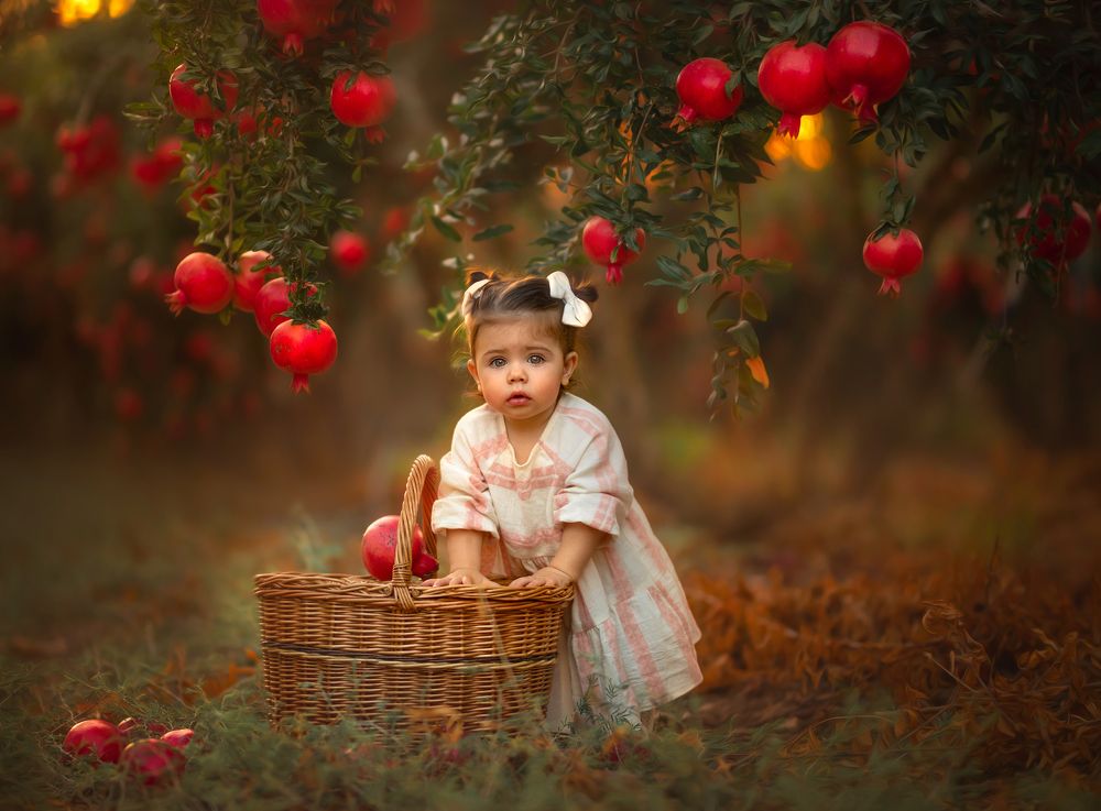 In the pomegranate grove