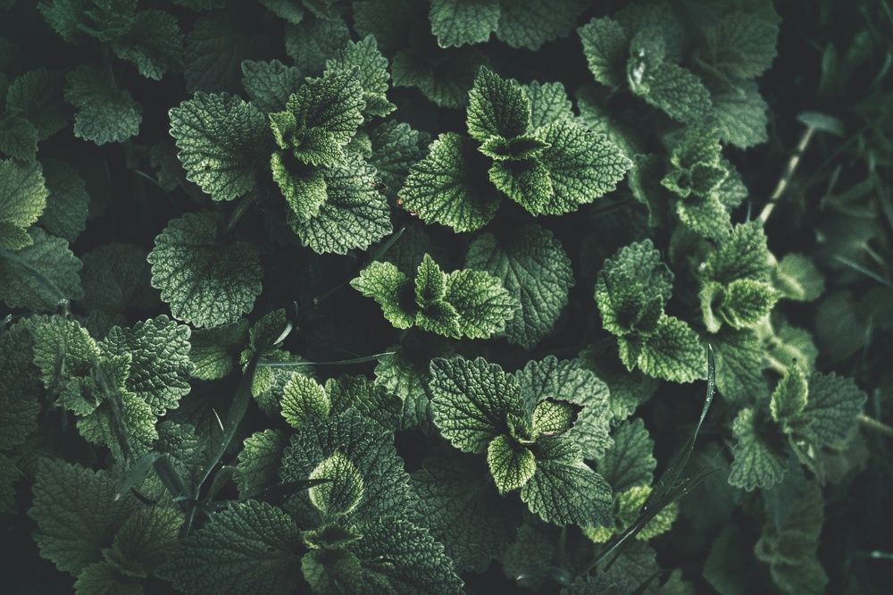 Фотография автора Марина Спильнык