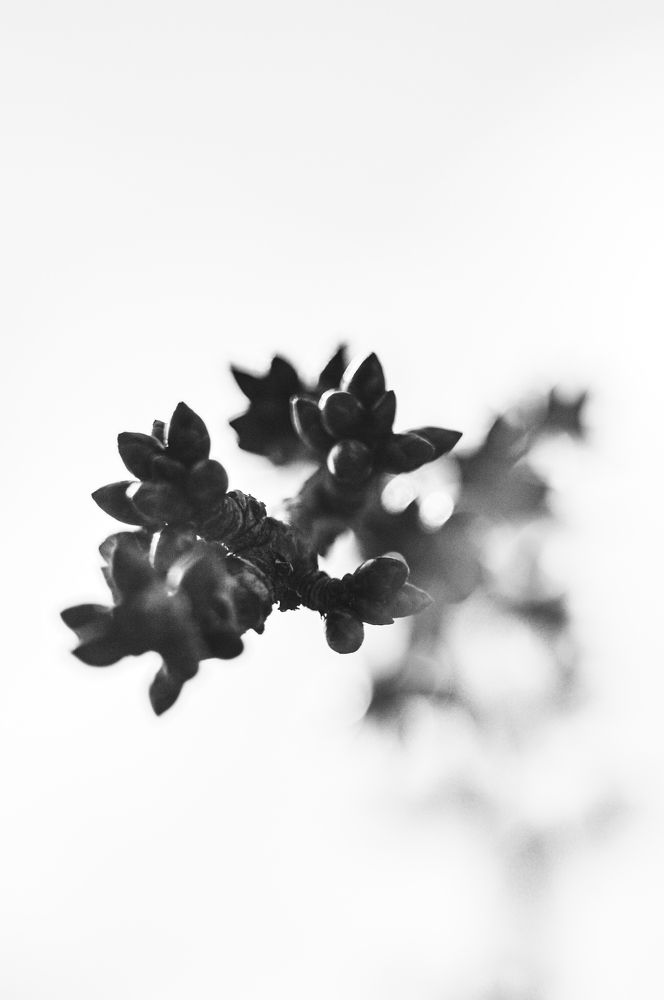 Photograph by Yana Panasiuk