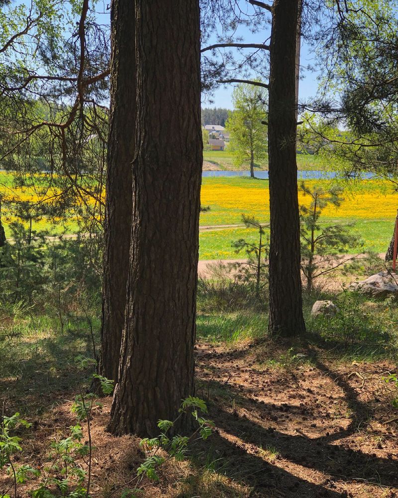 Майский пейзаж в деревне