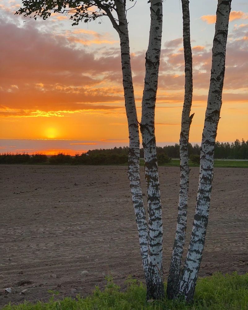 Photograph by Лариса