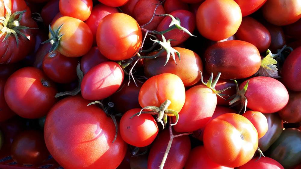 Photograph by Дмитрий Крюков