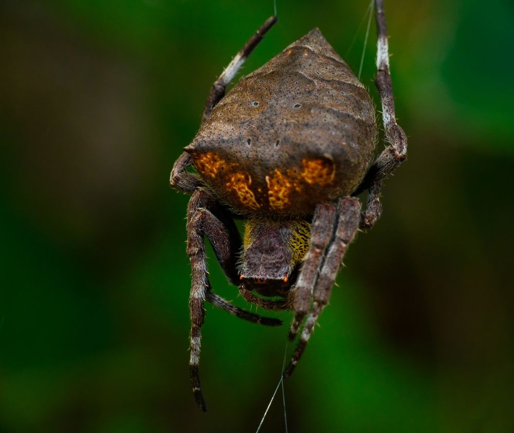 Photograph by Rachana madhav