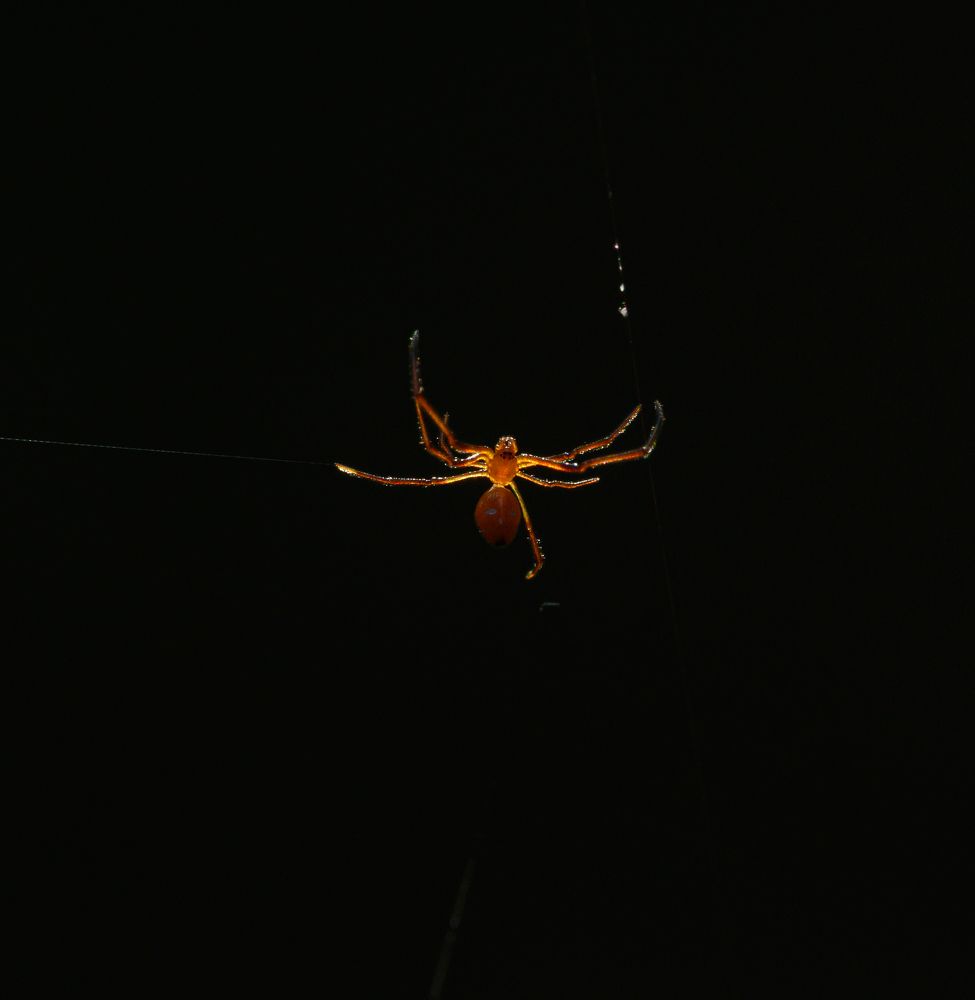 Photograph by Rachana madhav