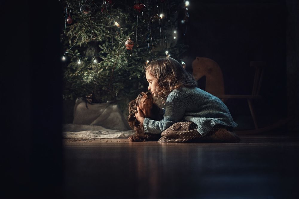 Photograph by Дарья Базарнова