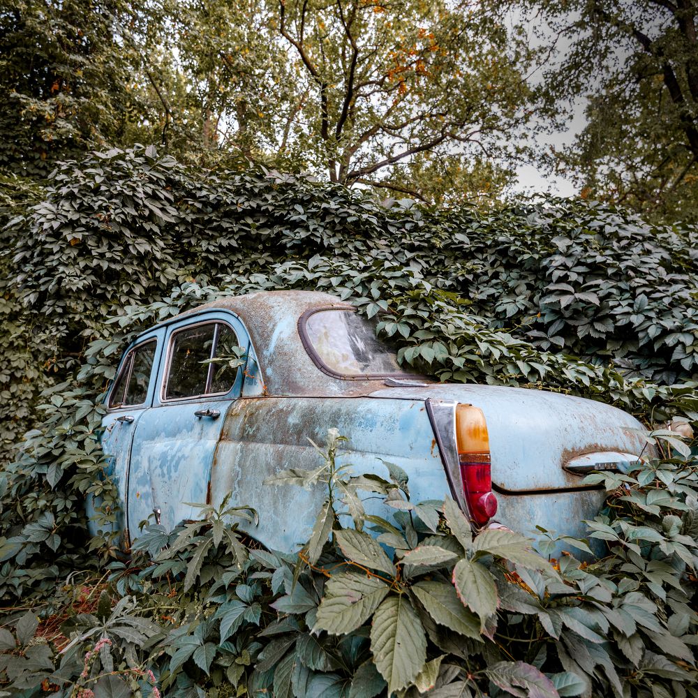 Фотография автора Караваев Антон