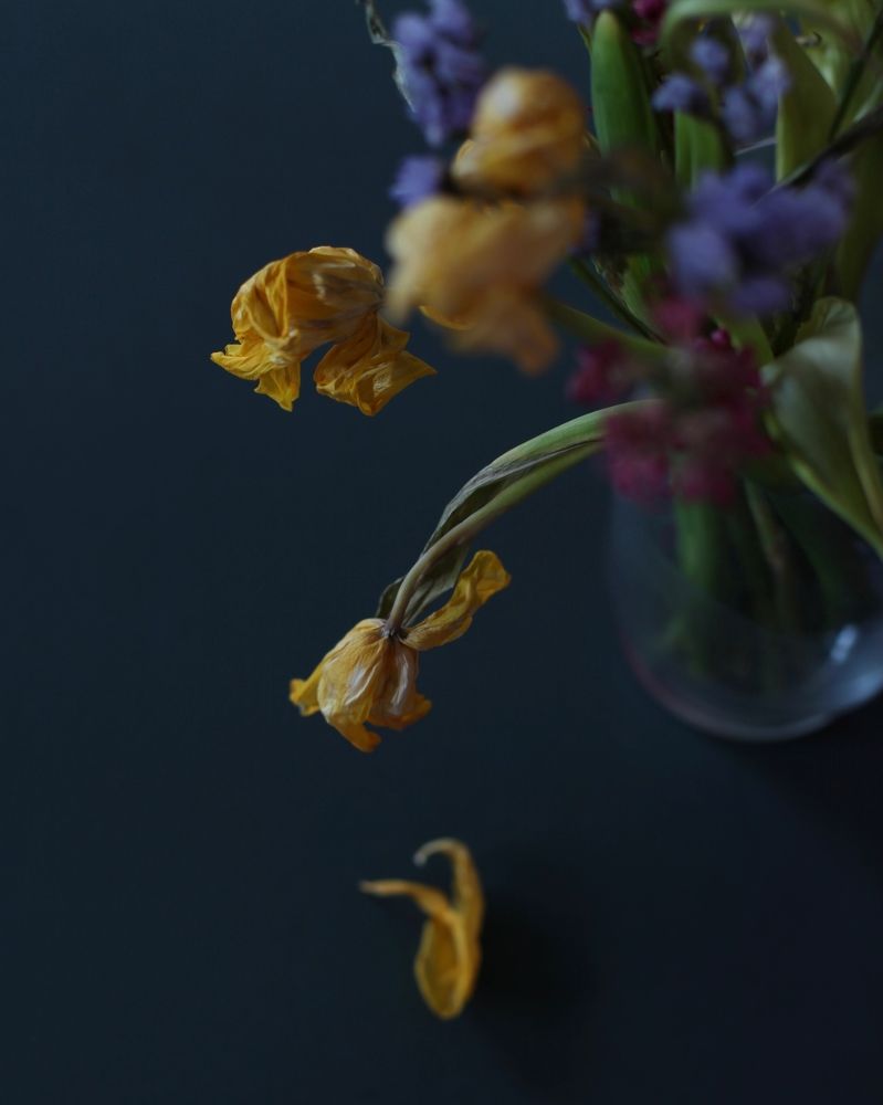 The beauty of fading