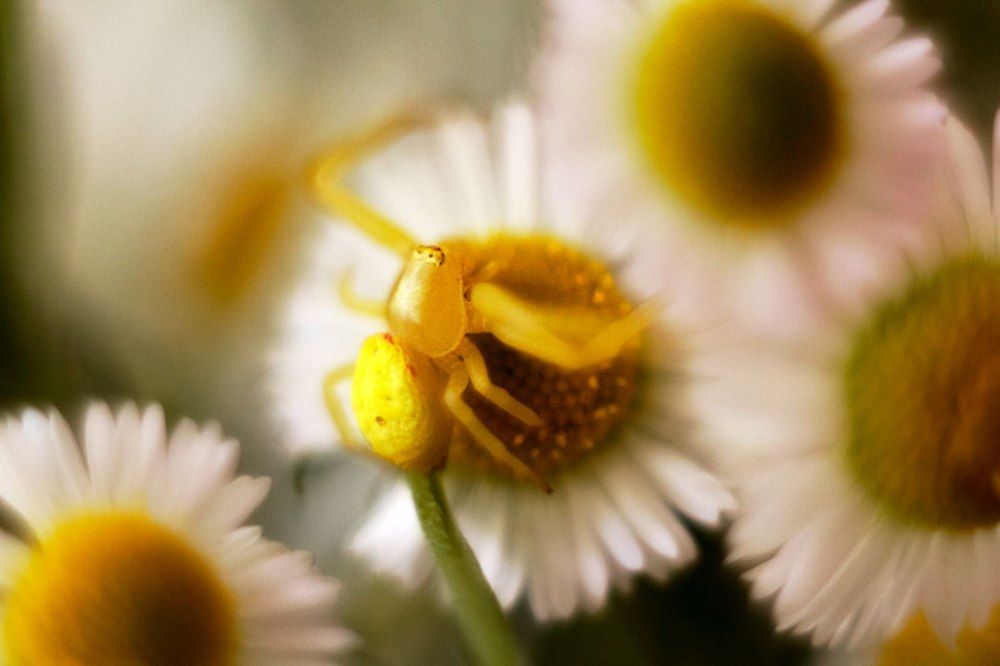 Photograph by Екатерина Мезенова