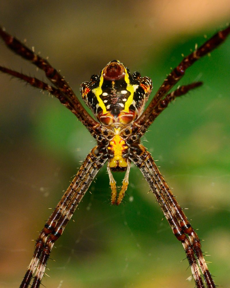 Photograph by Rachana madhav