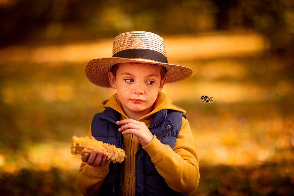Сладкая кукуруза