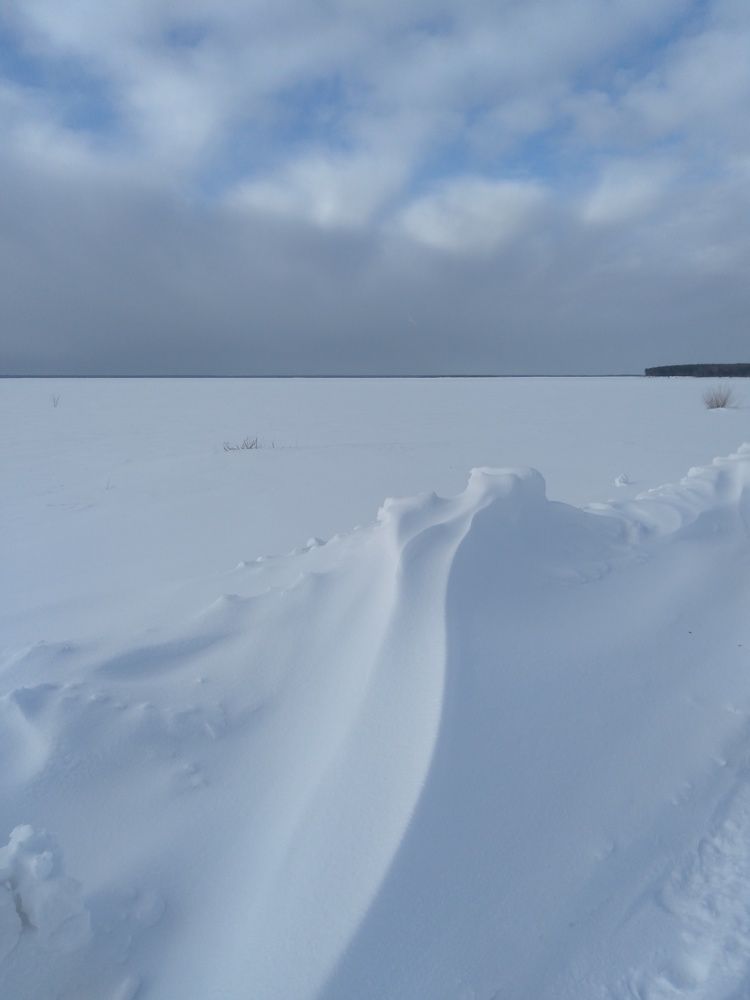 Photograph by Елена Малкова