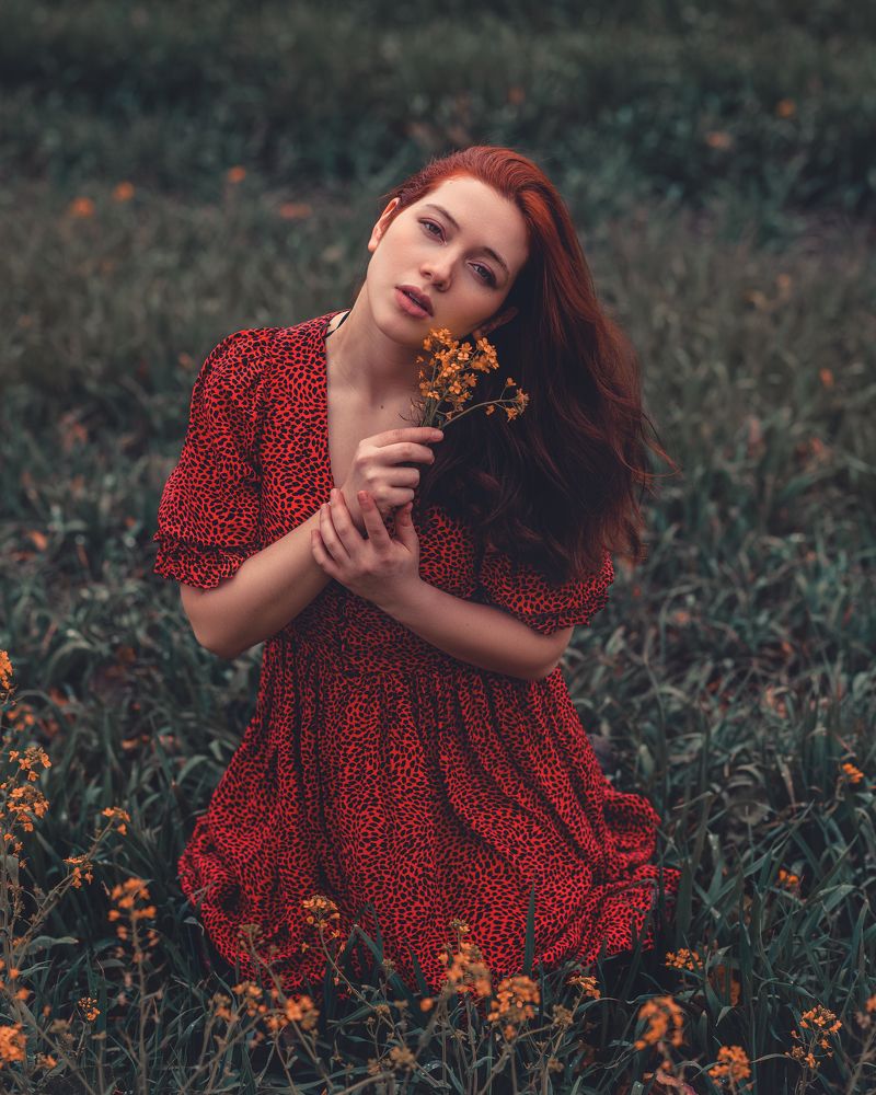 Photograph by Darwin