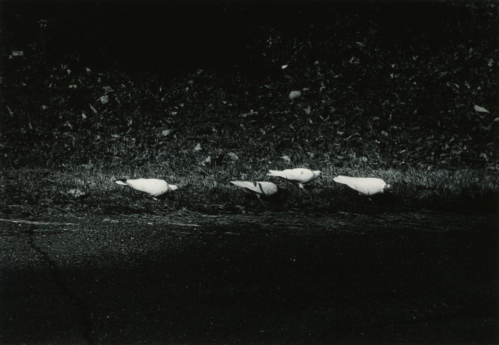 Держать путь