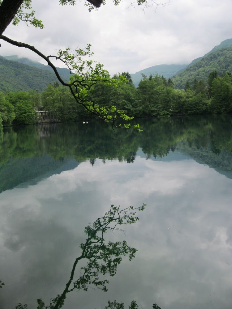 Photograph by Olga Afanaseva