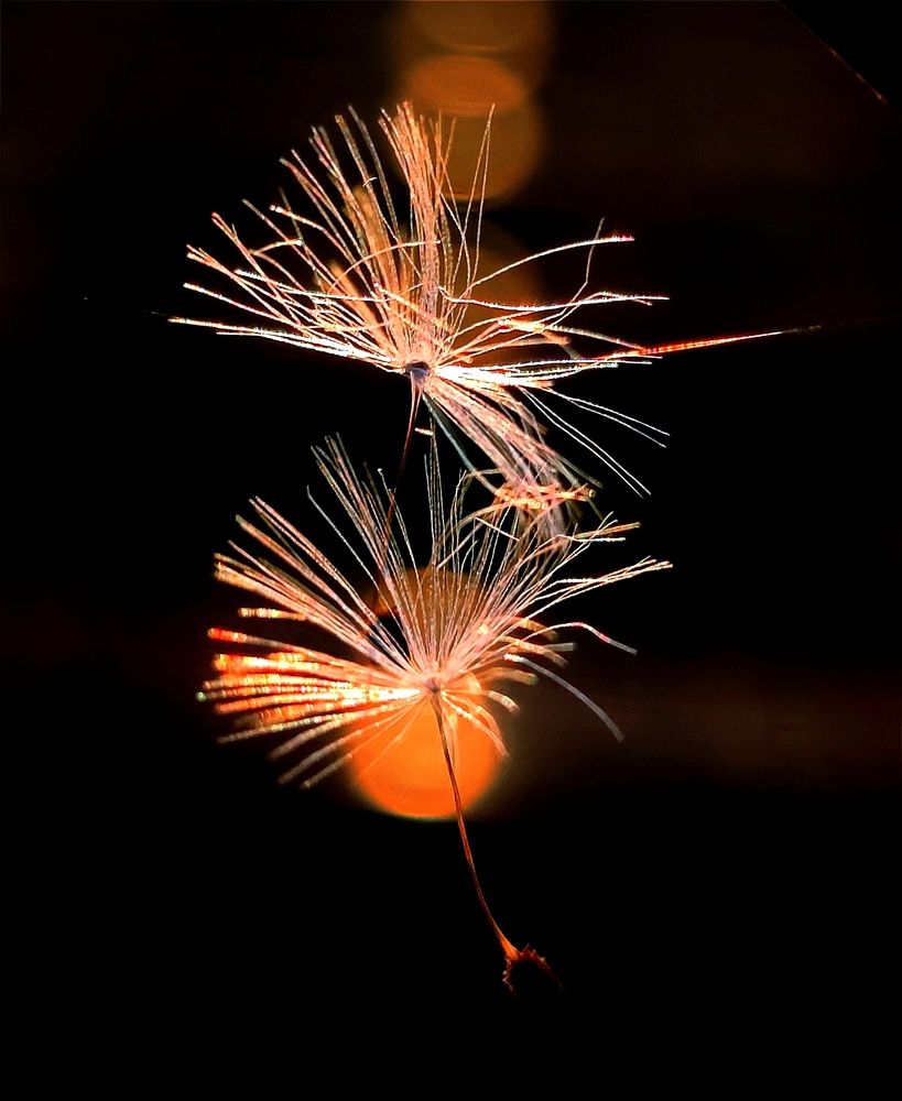 Photograph by Инна Макарчук