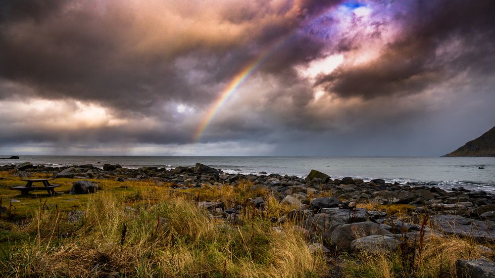 Photograph by Mahmud Tareq Hassan Khan