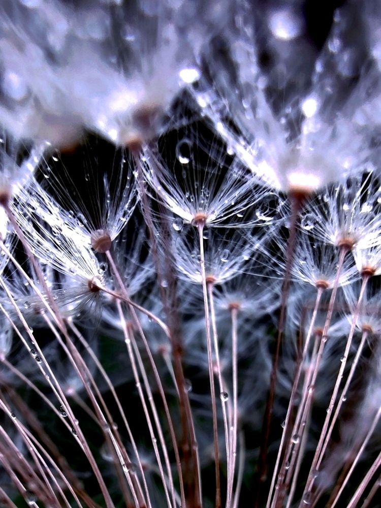 Photograph by Инна Макарчук