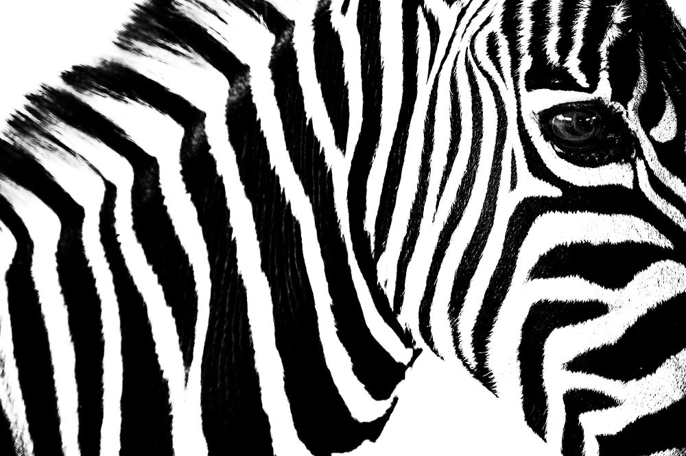 Photograph by Hassan Albusaidi