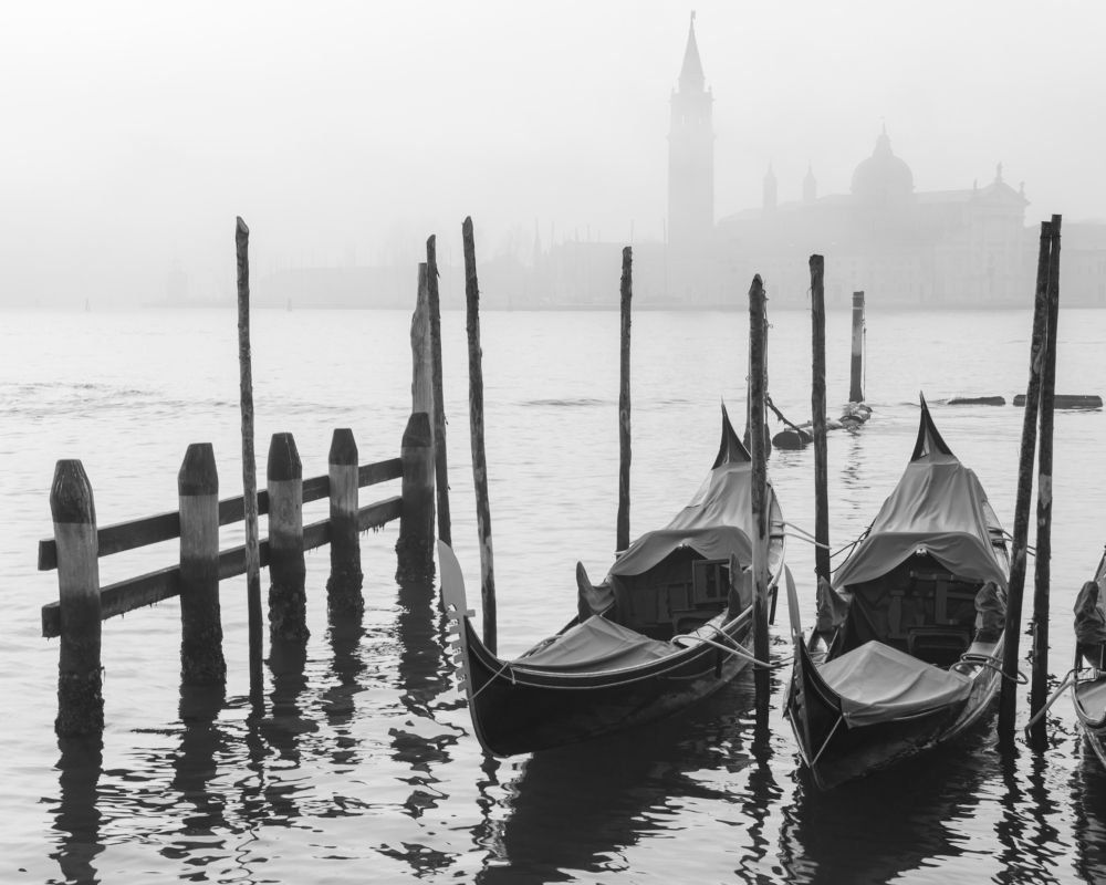 Photograph by Елизавета Калинина