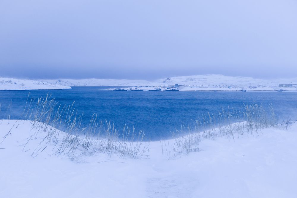 Photograph by Марина Шумакова