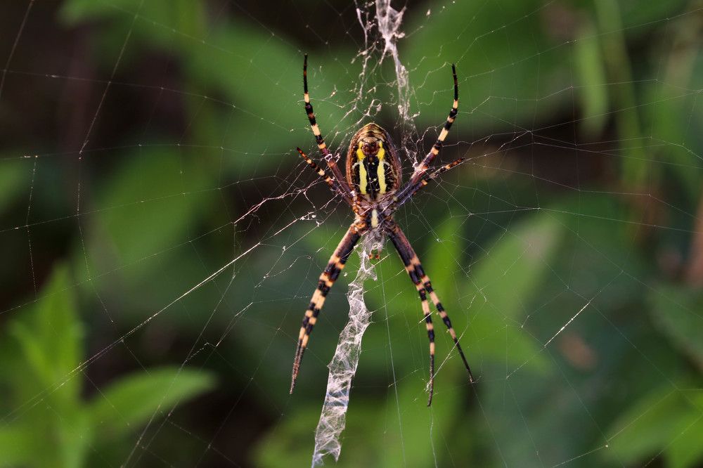 Photograph by Gregor Kobilica