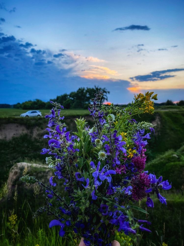 Photograph by Ярослав Титарчук